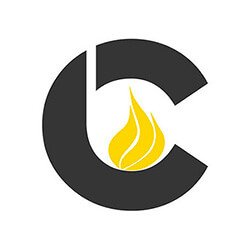 logo cheminees conception